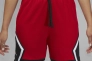 Шорты MJ DF SPRT DMND SHORT DX1487-687 JORDAN L Красный DX1487-687 Фото 2