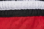 Шорты MJ DF SPRT DMND SHORT DX1487-687 JORDAN L Красный DX1487-687 Фото 6