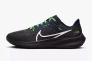Кросівки Nike Air zoom pegasus 40 SEAHAWKS DZ6007-001 Фото 1