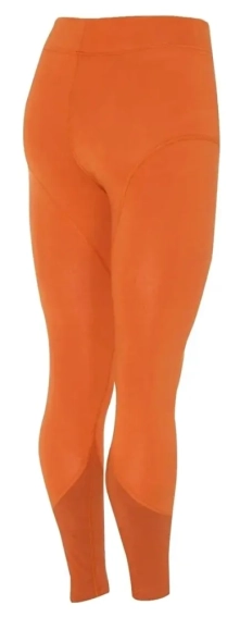 Лосини nike air leggins DR6159-816 фото 2 — інтернет-магазин Tapok