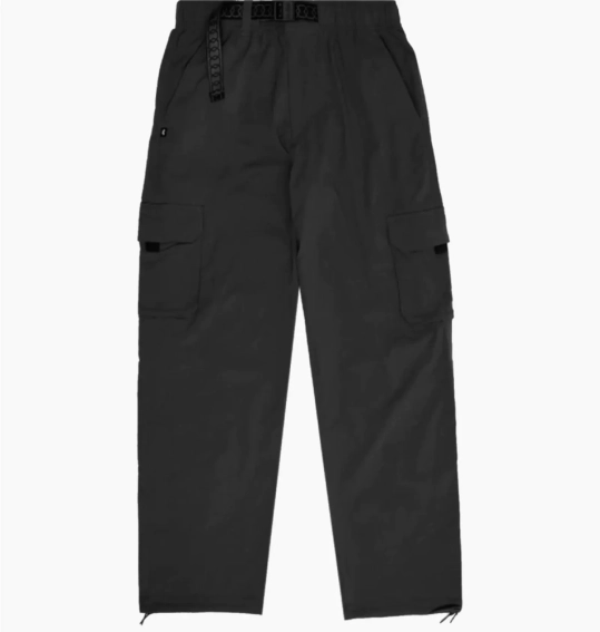 Брюки мужские Nike Sb U Dri-Fit Kearny Crgo Pnt (FV7347-010) фото 1 — интернет-магазин Tapok