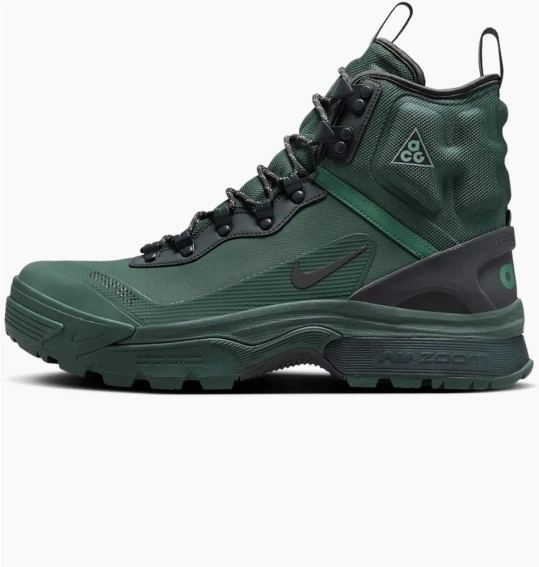 Черевики чоловічі Nike Acg Air Zoom Gaiadome Gore-Tex (DD2858-300) фото 1 — інтернет-магазин Tapok