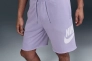 Мужские шорты Nike Club Alumni Violet FQ4950-515 Фото 2