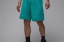 Мужские шорты Air Jordan Flight Flc Dmnd Turquoise FV7257-392 Фото 1