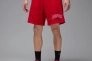 Шорти чоловічі Air Jordan Brk Lbr Gfx Red IB7910-687 Фото 1