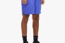 Шорты мужские Nike Logo Solid Lap Violet NESSA560-504 NESSA560-504 Фото 2