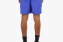 Шорты мужские Nike Logo Solid Lap Violet NESSA560-504 NESSA560-504 Фото 3