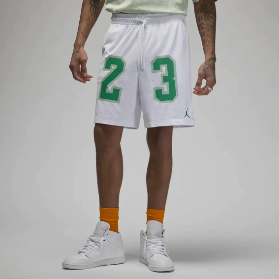 Шорти чоловічі Air Jordan Essentials Graphic Mesh Shorts White DX9671-100 фото 1 — інтернет-магазин Tapok