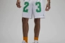 Шорти чоловічі Air Jordan Essentials Graphic Mesh Shorts White DX9671-100 Фото 1