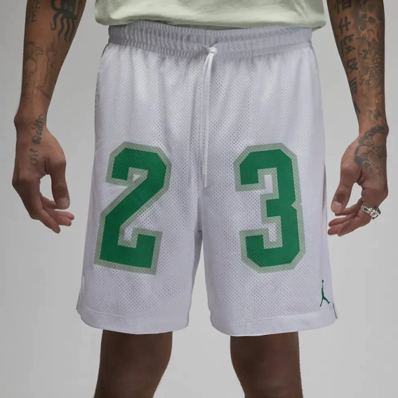 Шорти чоловічі Air Jordan Essentials Graphic Mesh Shorts White DX9671-100 фото 2 — інтернет-магазин Tapok