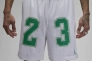 Шорти чоловічі Air Jordan Essentials Graphic Mesh Shorts White DX9671-100 Фото 2