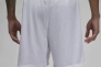 Шорти чоловічі Air Jordan Essentials Graphic Mesh Shorts White DX9671-100 Фото 3