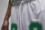 Шорти чоловічі Air Jordan Essentials Graphic Mesh Shorts White DX9671-100 Фото 4