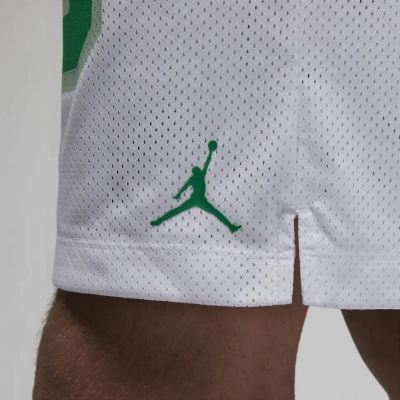 Шорти чоловічі Air Jordan Essentials Graphic Mesh Shorts White DX9671-100 фото 6 — інтернет-магазин Tapok