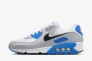 Кросівки чоловічі Nike Air Max 90 White/Grey FN6958-102 Фото 1