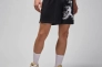 Шорти Jordan M DF SPRT GFX SHORT HQ8665-010 Фото 1