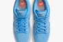 Кроссовки унисекс Nike Sb Dunk Low Pro (FJ1674-401) Фото 8
