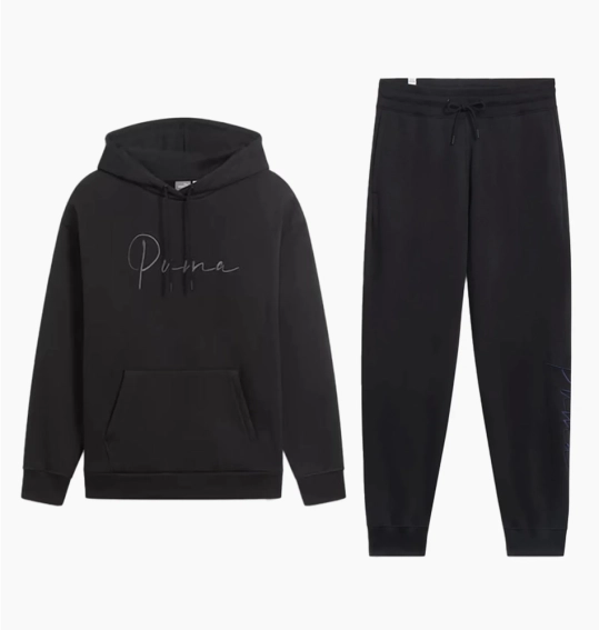 Костюм спортивный 684401-01__684753-01 Puma 684401-01__684753-01 фото 1 — интернет-магазин Tapok