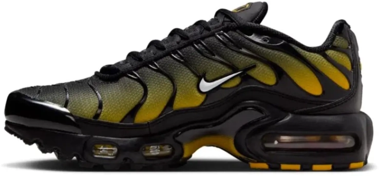 Кросівки Nike AIR MAX PLUS GS IB2870-001 фото 1 — інтернет-магазин Tapok
