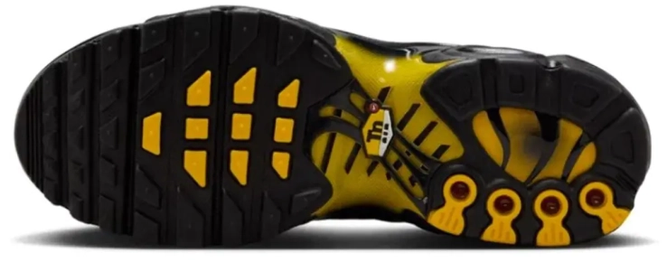 Кросівки Nike AIR MAX PLUS GS IB2870-001 фото 2 — інтернет-магазин Tapok