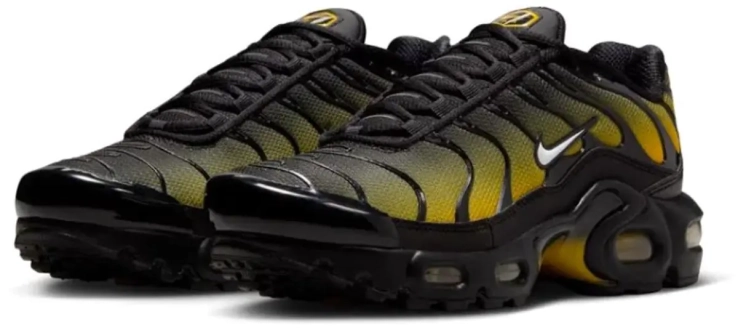 Кросівки Nike AIR MAX PLUS GS IB2870-001 фото 5 — інтернет-магазин Tapok