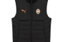 Жилетка PUMA FC Shakhtar Donetsk Training 782808-04, Цвет Черный, Размер (Европа) - XS 782808-04 Фото 1