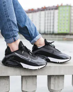Кроссовки Nike Air Max 2090 CW7306-001