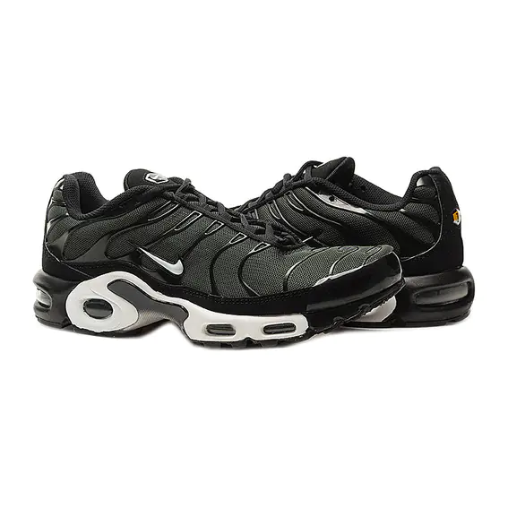 Кросівки Nike AIR MAX PLUS 852630-031 фото 1 — інтернет-магазин Tapok