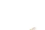 Босоножки женские летние SUMMERGIRL D366M бежевые Фото 1