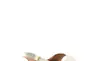Босоножки женские летние SUMMERGIRL D366M бежевые Фото 2