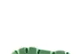 Кроссовки демисезон женские Lonza T012-15 бело-зеленые Фото 5
