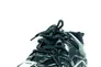 Кросівки демісезон жіночі Lonza ZZ906-6 чорні Фото 3