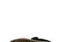 Ботинки зимние женские Lonza 3066-1A черная замша Фото 5