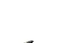 Шлепанцы женские Lonza Y885-3 коричнево-чёрные Фото 1