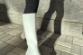 Сапоги женские кожаные белого цвета демисезонные Фото 12
