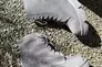 Ботинки женские замшевые серого цвета на шнурках и с замком зимние Фото 20