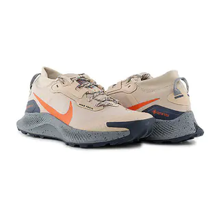 Кроссовки Nike PEGASUS TRAIL 3 GTX DC8793-200