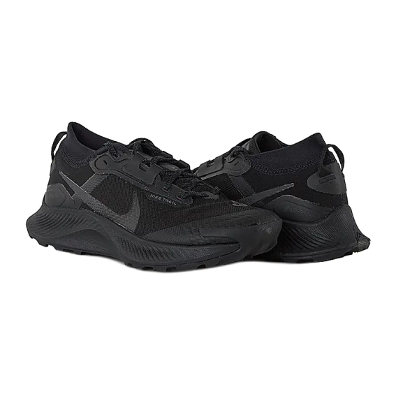 Кросівки Nike  PEGASUS TRAIL 3 GTX DC8793-001 фото 1 — інтернет-магазин Tapok