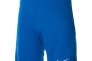 Шорты Nike M NK DRY PARK III SHORT NB K BV6855-463 Фото 1