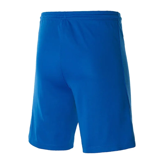 Шорты Nike M NK DRY PARK III SHORT NB K BV6855-463 фото 2 — интернет-магазин Tapok