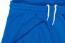 Шорты Nike M NK DRY PARK III SHORT NB K BV6855-463 Фото 3