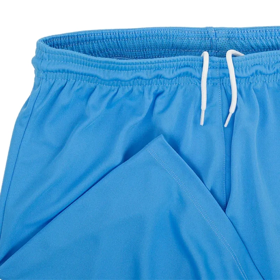 Шорты Nike M NK DRY PARK III SHORT NB K BV6855-412 фото 3 — интернет-магазин Tapok