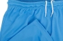 Шорты Nike M NK DRY PARK III SHORT NB K BV6855-412 Фото 3