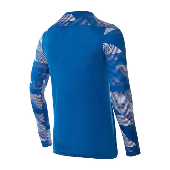 Кофта Nike Dry Park IV Goalkeeper Jersey Long Sleeve CJ6066-463 фото 2 — інтернет-магазин Tapok