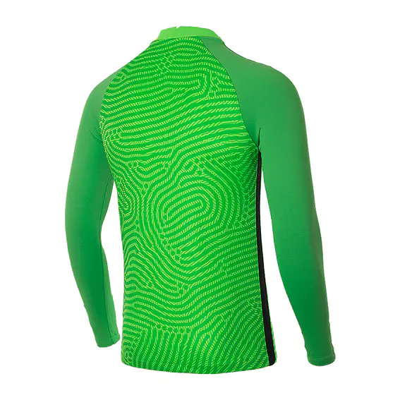 Футболка Nike Jersey Gardien III Long Sleeve BV6711-398 фото 2 — інтернет-магазин Tapok