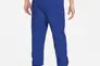 Брюки Jordan M J SPRT DNA FLC PANT DJ0190-455 Фото 2
