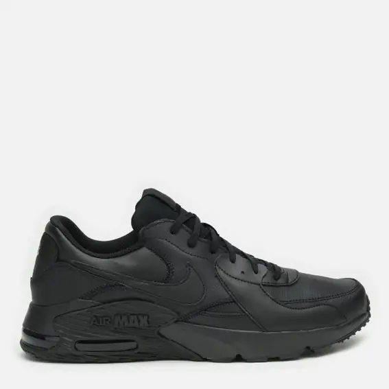 Кроссовки мужские Nike Air Max Excee Leather (DB2839-001) фото 1 — интернет-магазин Tapok