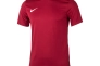 Футболка Nike Jersey Park VII BV6708-677 Фото 1