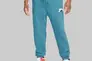 Брюки мужские NIKE MJ SPRT DNA HBR FLC PANT DC9635-415 Фото 1
