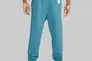 Брюки мужские NIKE MJ SPRT DNA HBR FLC PANT DC9635-415 Фото 2